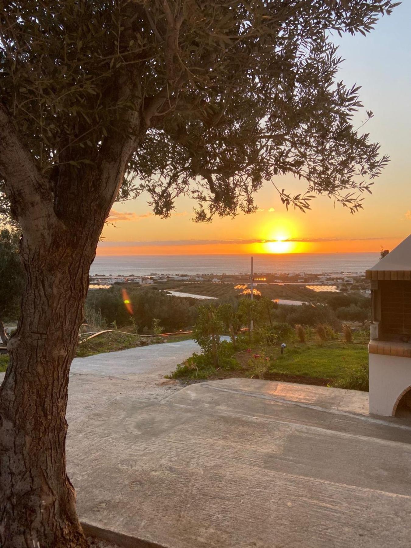 Casa Di Olive, All Seasons Accommodation Goudhouros Dış mekan fotoğraf